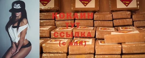 винт Богородицк
